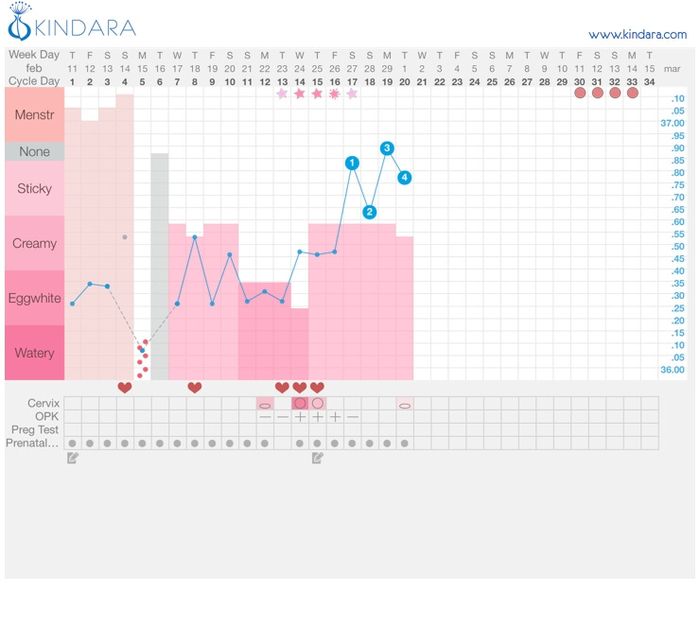 Decálogo de las gráficas de temperatura basal - 1