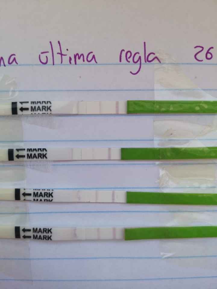 Ayuda test ovulacion - 2