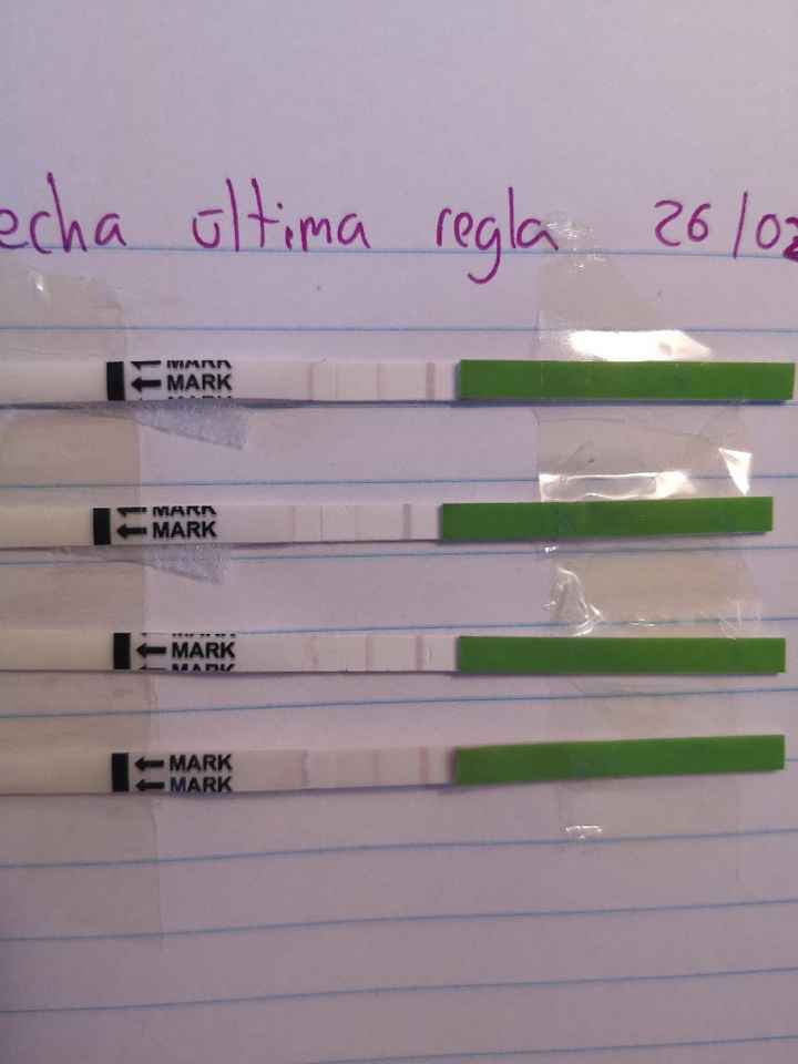 Ayuda test ovulacion - 3