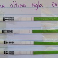 Ayuda test ovulacion - 2