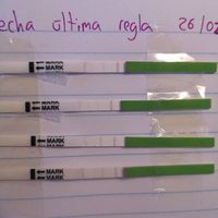 Ayuda test ovulacion - 3
