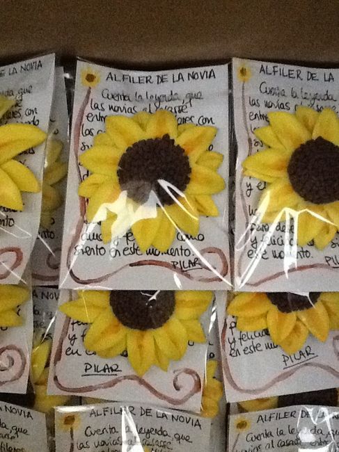 Mis alfileres - 1