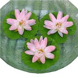 nenufar flotante