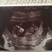mamis noviembre 2019 oficial - 1