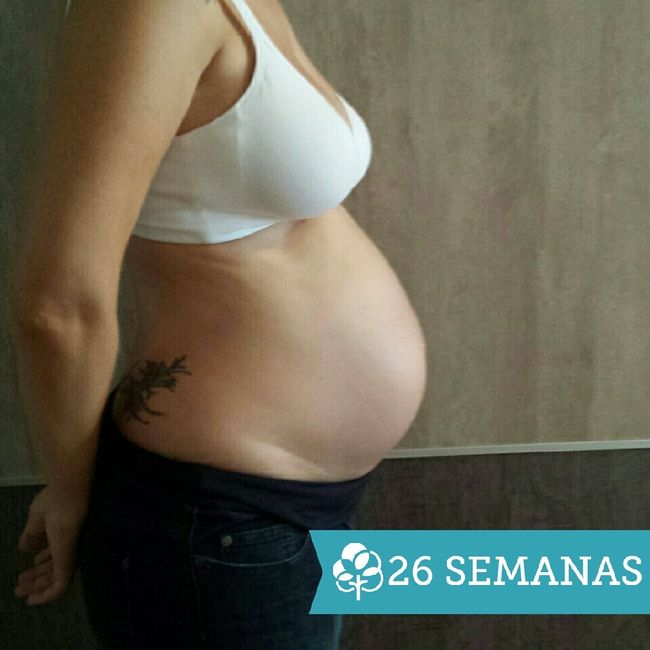 26 semanas