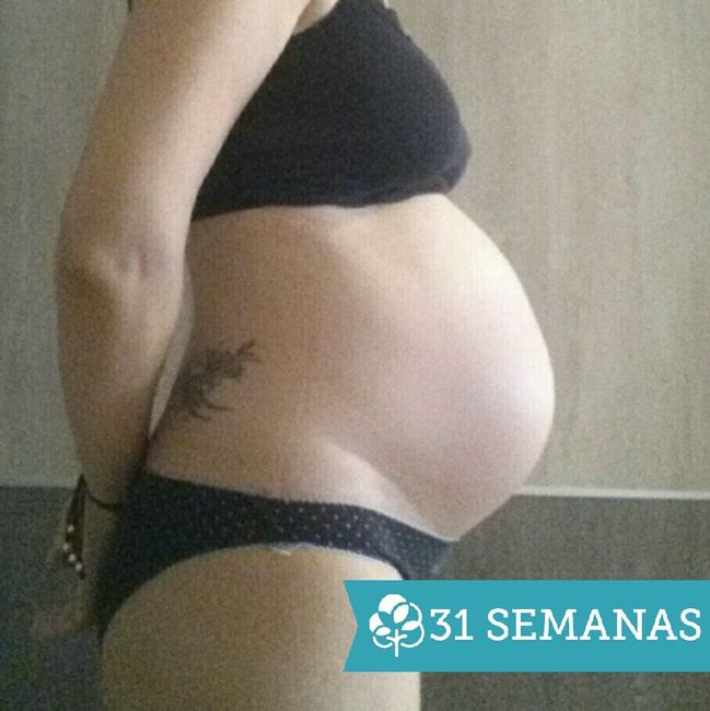 31 semanas