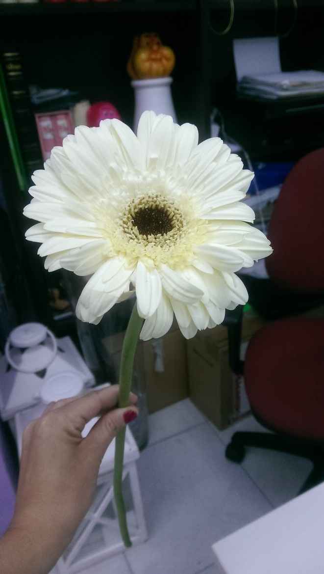 FLORES CEREMONIA