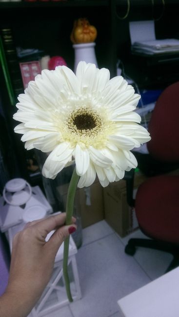 FLORES CEREMONIA