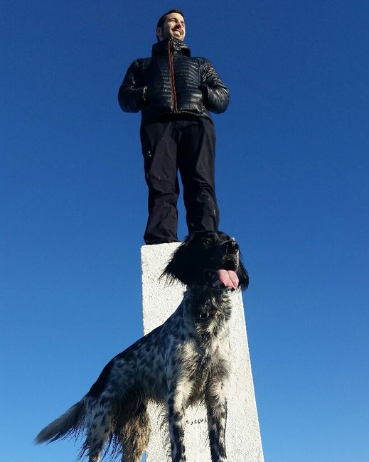 Dónde dejar al perrillo🐶 - 3