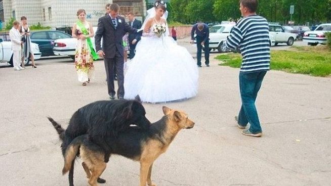 40 Fotos que NO quisieras tener en tu album - 7