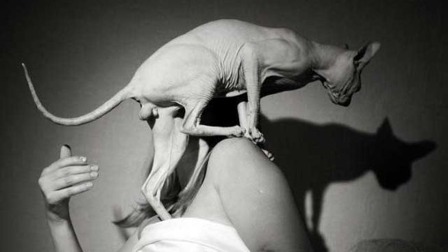 40 Fotos que NO quisieras tener en tu album - 16
