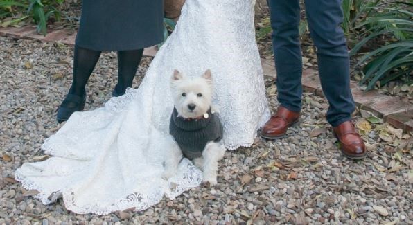 La niña de la Novia