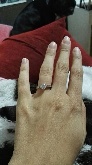 ¡¡ya lo tengo conmigo!! - 1