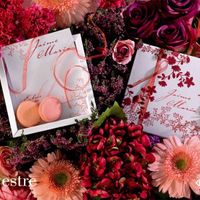 Decidida la Invitación 