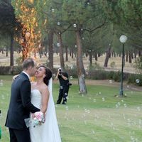 Vestido pronovias 2017 - 7