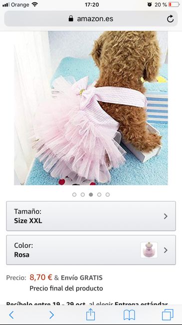 Necesito que me ayudeis con los complementos de mis perritos! 4