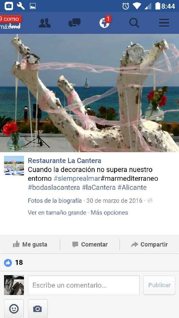 Menú  todo incluido alicante - 8