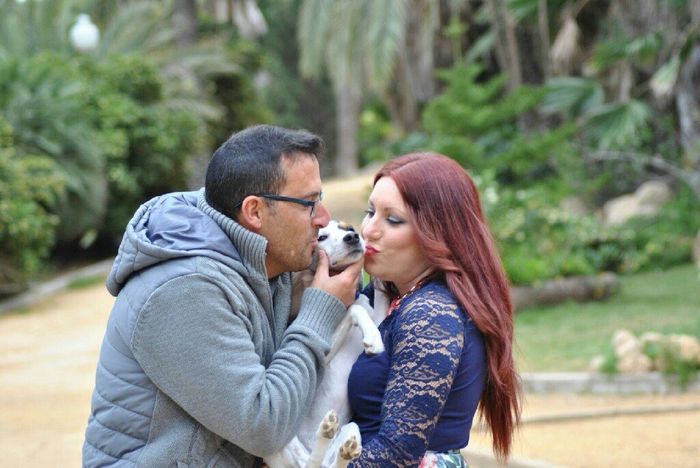 Preboda con mascota - 4