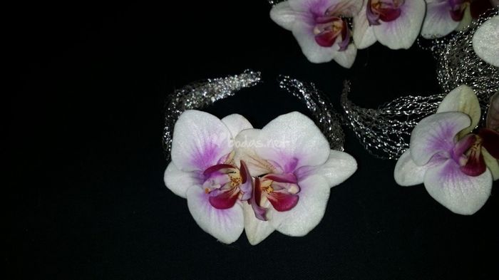 Pulseras testigo