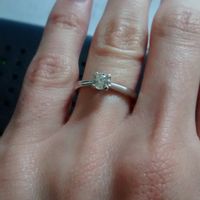 anillo