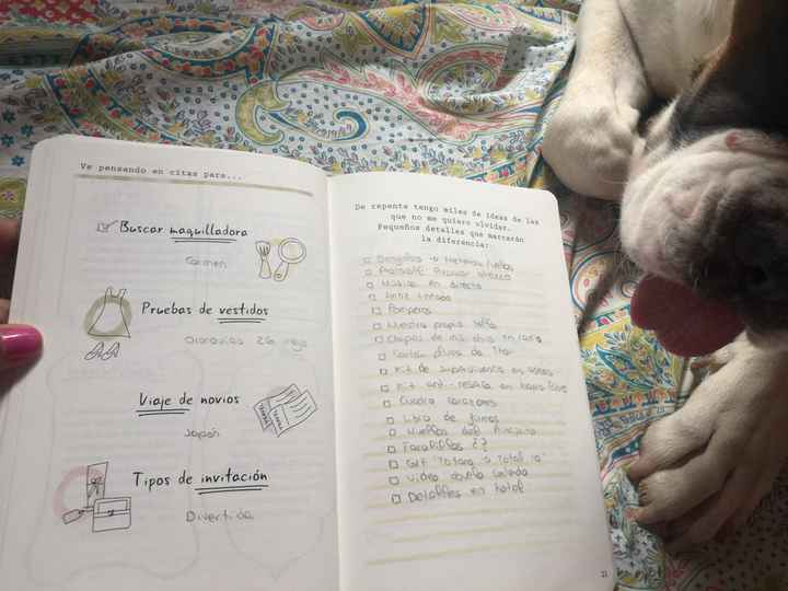 Diario de la novia - 1
