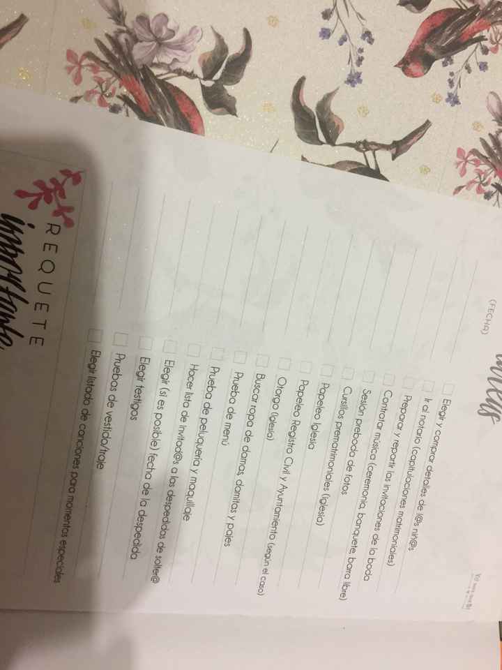 Mi nuevo diario de la novia - 3