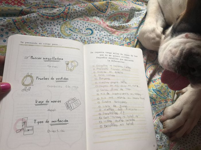 Diario de la novia - 1