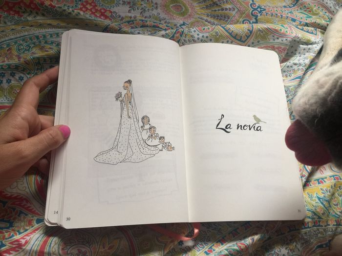 Diario de la novia - 3