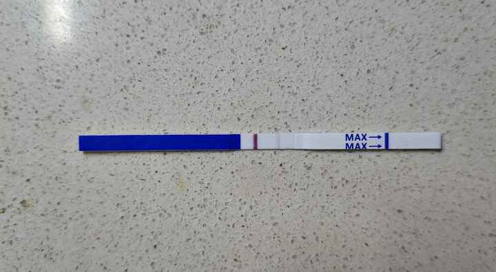 Buscadoras febrero 2024 - 1