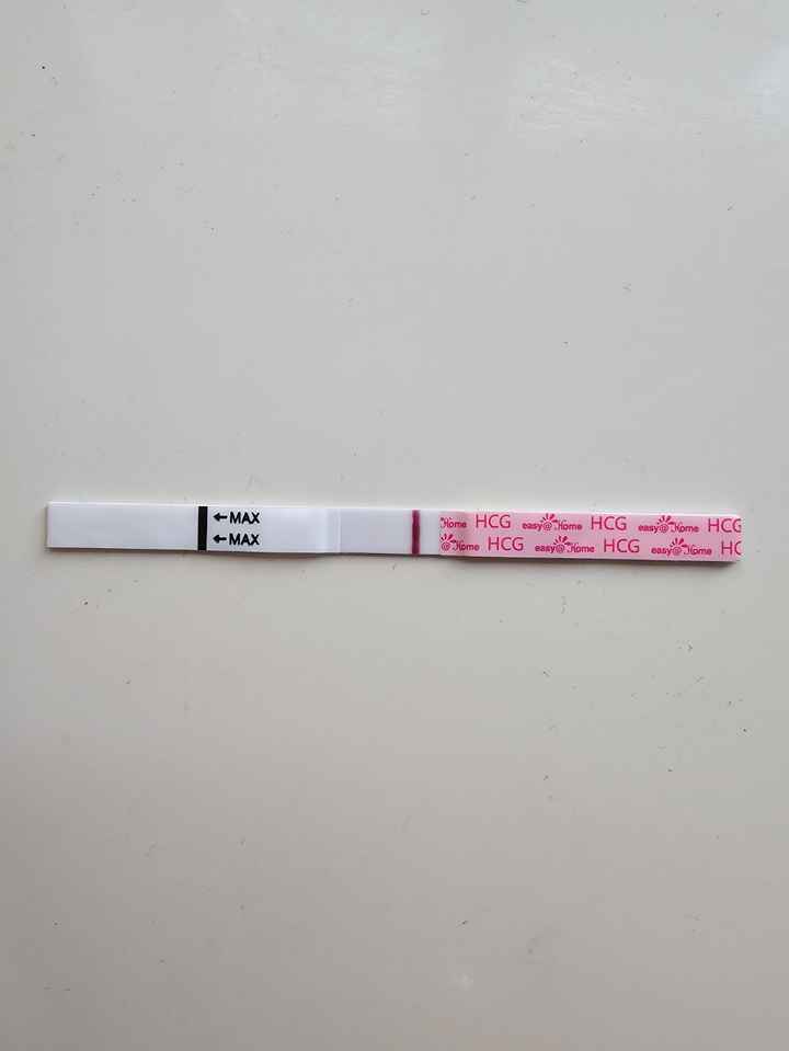 Buscadoras marzo 2024 - 1