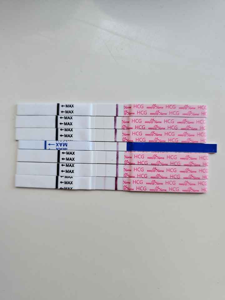 Futuras Mamás Noviembre y Diciembre - 1