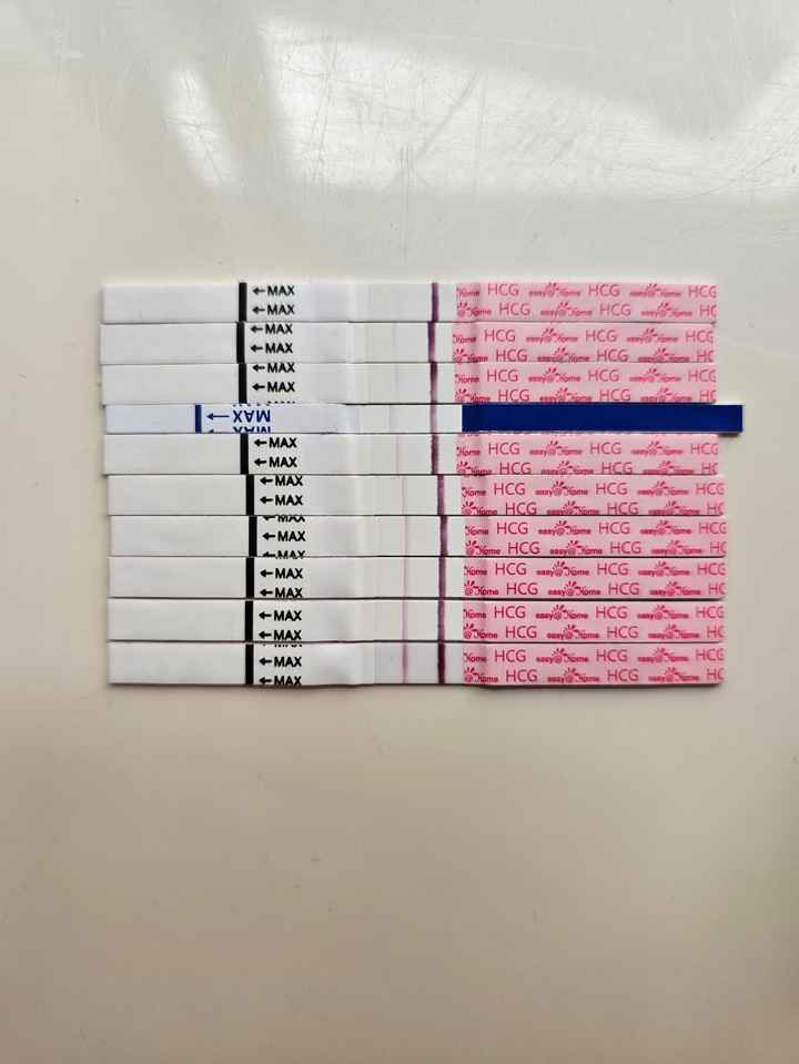 Futuras Mamás Noviembre y Diciembre - 1