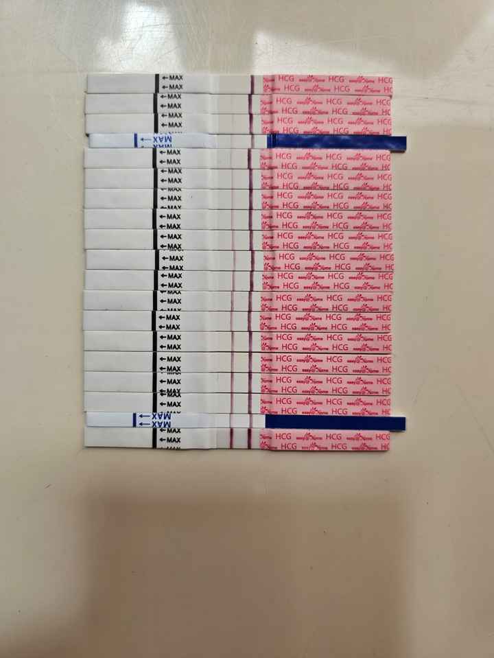 Futuras Mamás Noviembre y Diciembre - 2