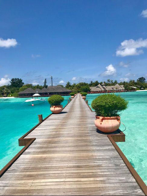 Olhuveli resort and spa (maldivas) - 5