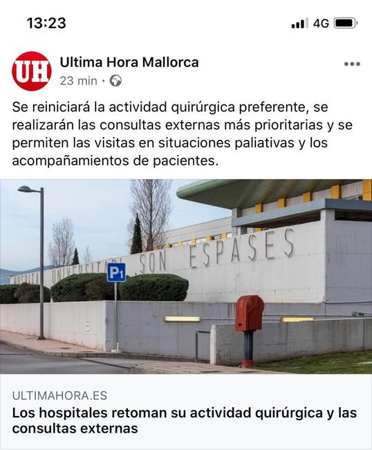 Fiv mallorca 1