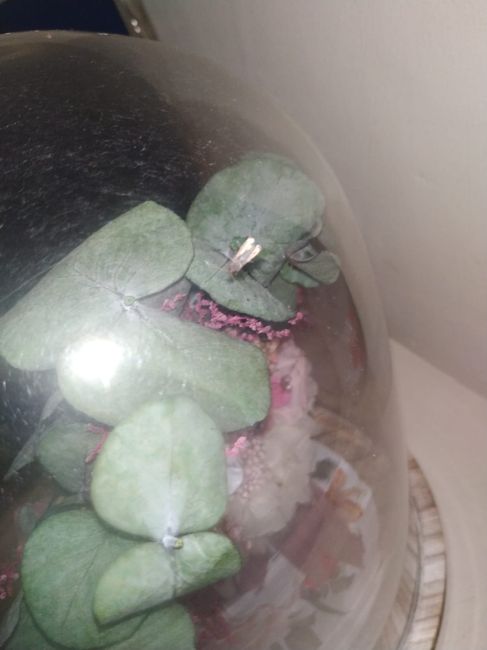 Mi ramo de novia preservado de Diana Per se lo comen los gusanos - 5