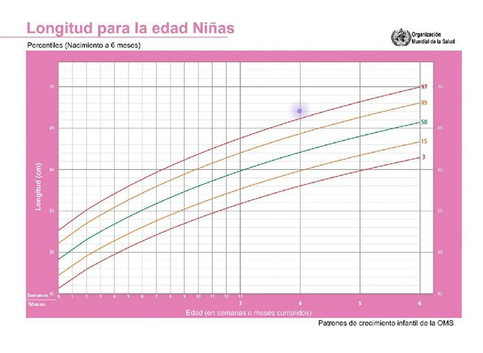 Mamas Febrero 2020 1