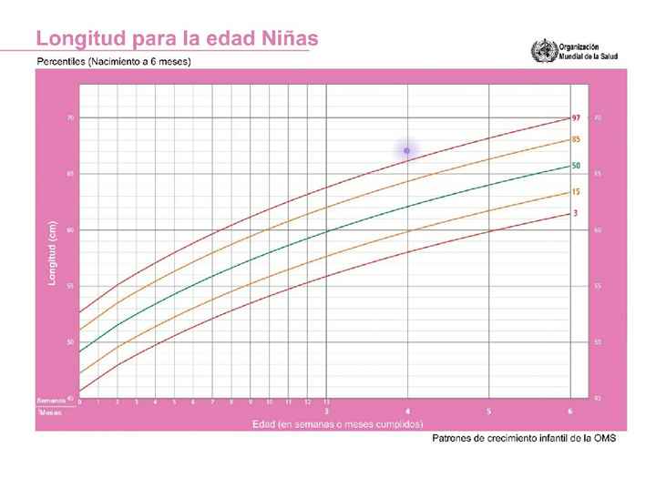 Mamas Febrero 2020 - 1