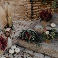 ¿De qué color serán las flores? - 1