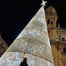 Rocio
