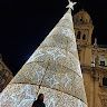 Rocio