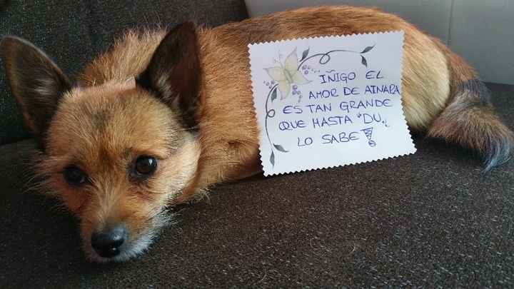 para iñigo de ainara