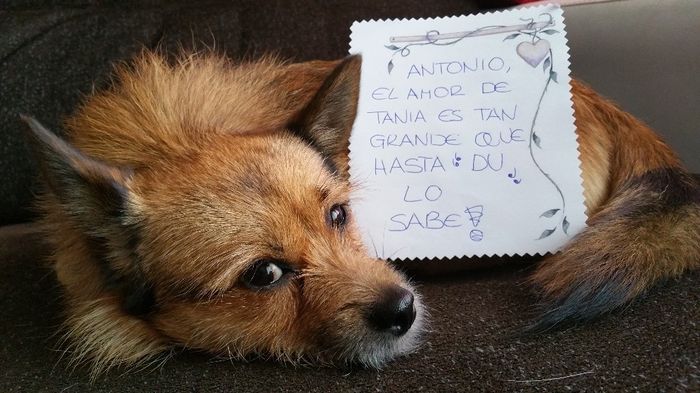 para Antonio de Tania