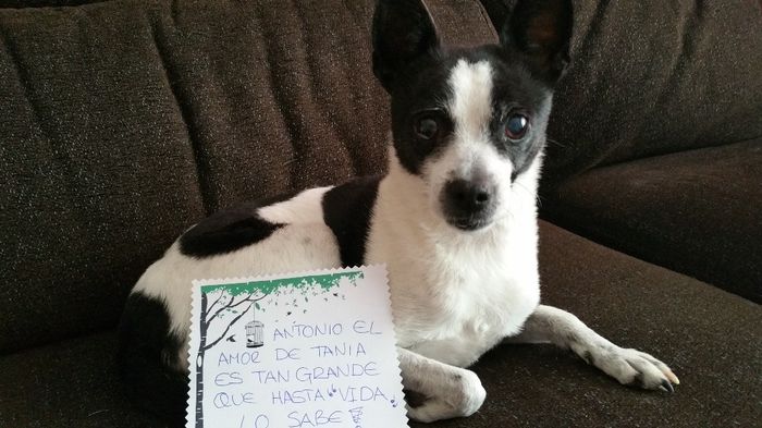 para Antonio de Tania