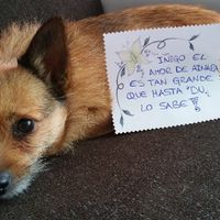 para iñigo de ainara