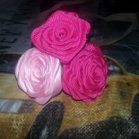 llevo estas tres rosas