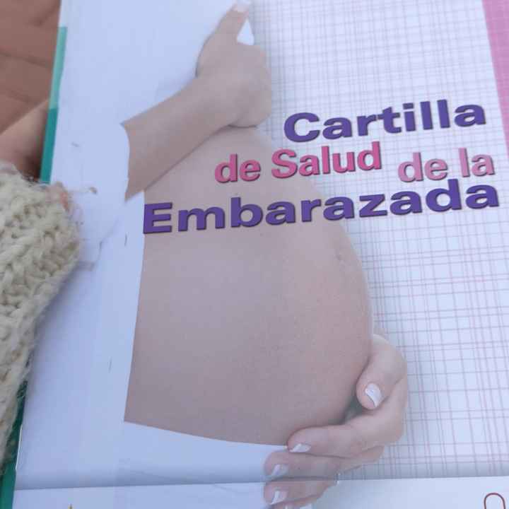 Futuras Mamis Noviembre - 1