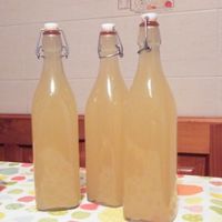 Botellas champán de  sauco ecológico casero