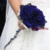 rosmelia azul