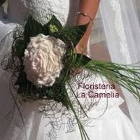 rosmelia tallo suelto